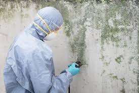 Best Mold Removal for HVAC Installations  in Reed Creek, GA